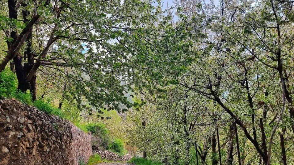 کوه‌پیمایی سبک – آهار و شکرآب